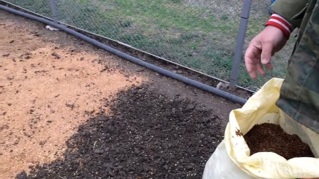 сидераты весной смотреть онлайн