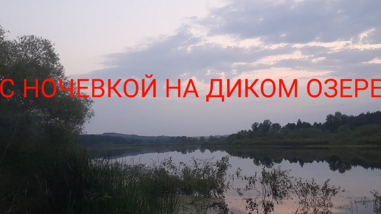 РЫБАЛКА С НОЧЕВКОЙ НА ДИКОМ ОЗЕРЕ!!! смотреть онлайн