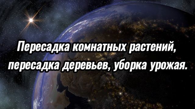 Советы на фазы Луны. #viralvideo #viral #video #magic #moon #moonphases #advice #видео #заговор смотреть онлайн