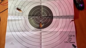 Патроны СКМ 12/70, пуля Тандем. Тест.