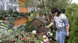 Садовый тур. Сад Жанны Нарбутович, Беларусь