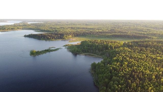 Жена была готово на все, чтобы завладеть Наследством Мужа.Но план любовника накрылся. И вот как их смотреть онлайн