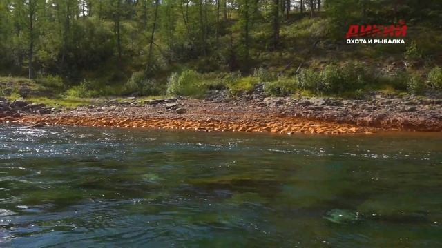 Cлавные денечки на плато Путорана (часть 3) - Анатолий Полотно и Федя Карманов