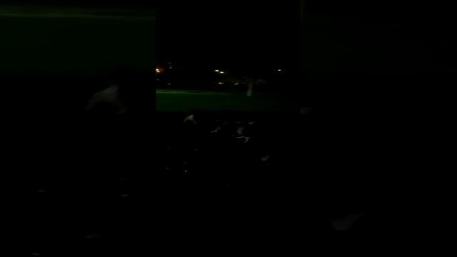 Осенний вечер, Басенджи Мартин 11 месяцев играется с собакой помесь овчарки с дворнягой. смотреть онлайн