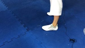 ОБЗОР СТЕПОК ДЛЯ ТХЭКВОНДО. СТЭПКИ ОТ Dan Martial Arts