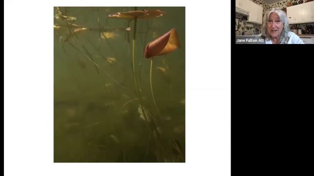 Artist Talk: Jane Fulton Alt смотреть онлайн