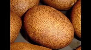 Картофель Любава и Киви