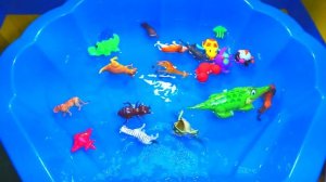 Обучающее видео для детей | Изучаем названия животных | Развивающее видео | Игрушки в воду