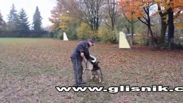 Matze vom Lupus in fabula - protection смотреть онлайн