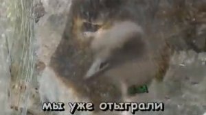 Александр Градский - Как молоды мы были