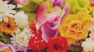 Лети Лети лепесток