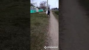 29.03.22 Прогулка по Переясловской.Брюховецкий район.Краснодарский край.