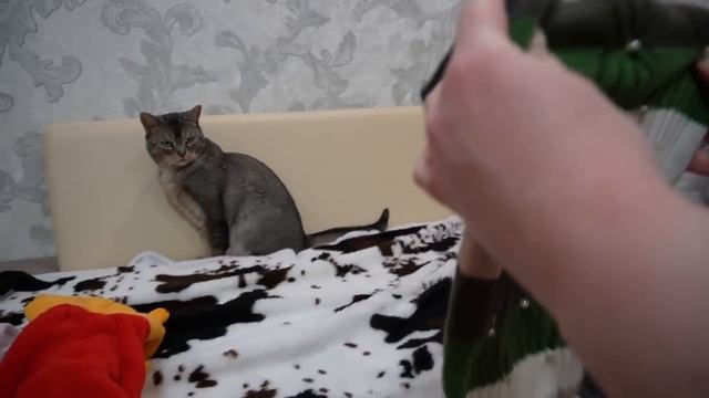 Зверодети едут в ЗИМНИЙ ЗВЕРОЛАГЕРЬ из КАРТОНА | Билли плачет и скучает по маме смотреть онлайн