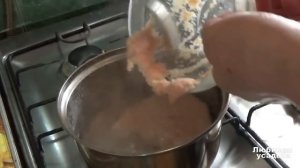 Как засолить икру окуня и икру щуки для бутербродов