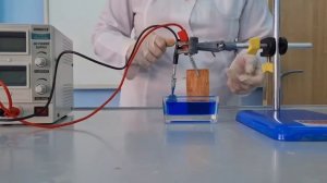 Гальваностегия. Покрытие металлических предметов с медью