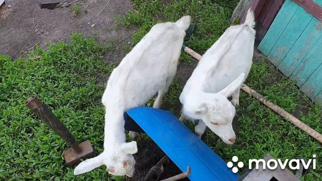 как все начиналось.......