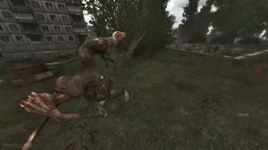 КАК ИЗМЕНИТСЯ ЗОНА ЧЕРЕЗ 357 ИГРОВЫХ ДНЕЙ В STALKER ANOMALY