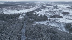 Эко-здравница "Сосновый Бор" Кострома 2023 г.