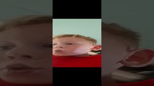 прятки