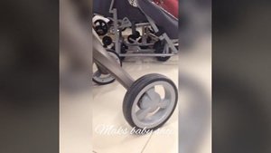 Коляска Doux bebe (аналог Stokke)