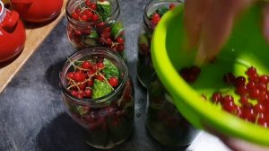 ОГУРЧИКИ С КРАСНОЙ СМОРОДИНОЙ. БЕЗ УКСУСА И СТЕРИЛИЗАЦИИ...