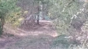 Удачная рыбалка с дедушкой на Новотроицком водохранилище!