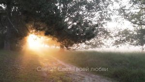 Дорога домой \ Светлана Бек