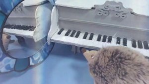 Д.Кабалевский "Ёжик" урок 3