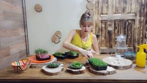 КАК ХРАНИТЬ МИКРОЗЕЛЕНЬ ПОСЛЕ ПОКУПКИ?