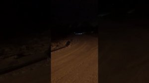 мотособака