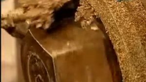 Производство растительного масла Почему масло холодного отжима лучше