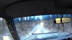 Охота на кабана с лайками, первый в 2022 году