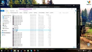 Что делать если SpinTiriees не запускается на Windows 10?
