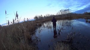 Трофейный ротан на дропшот поздней осенью