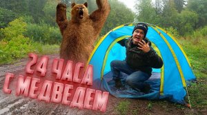 24 часа выживаем в лесу, где живут медведи!