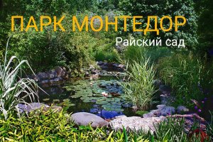 Парк Монтедор.Райский сад.Никитский ботанический сад.Крым.HD.mp4