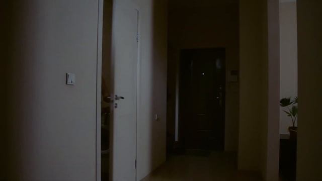 Sakura смотреть онлайн