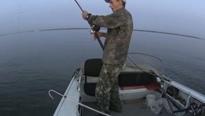 Самый крупный сом года! Рыбалка и вываживание крупного сома.  Сом на квок.