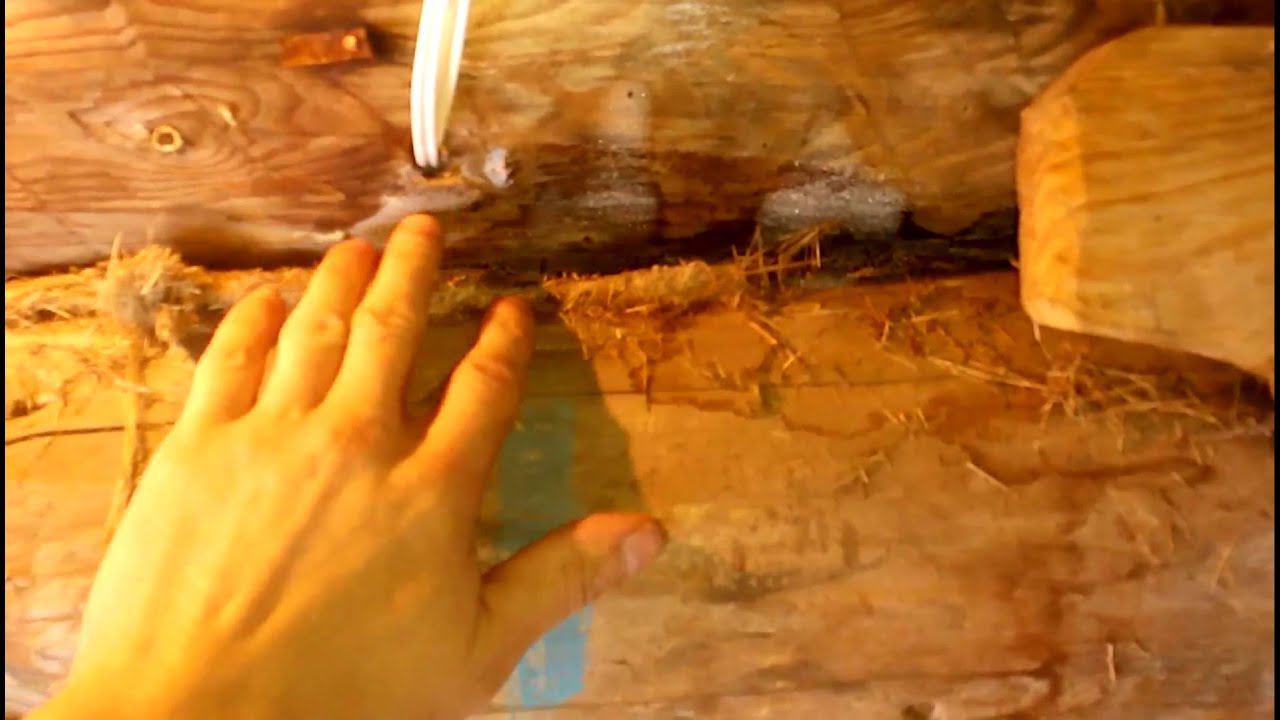 ГНИЕТ потолок в бане Конденсат в предбаннике # ЧТО ДЕЛАТЬ смотреть онлайн