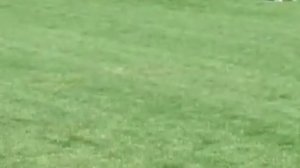 Dana from Verran Rd launches one over the bowlers head!.MOV