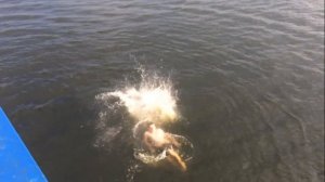 ПРЫЖОК В ВОДУ  СУЛТАН БОМБОЧКОЙ И НА ГОЛОВУ С РЕКЛАМНОГО СЧИТА