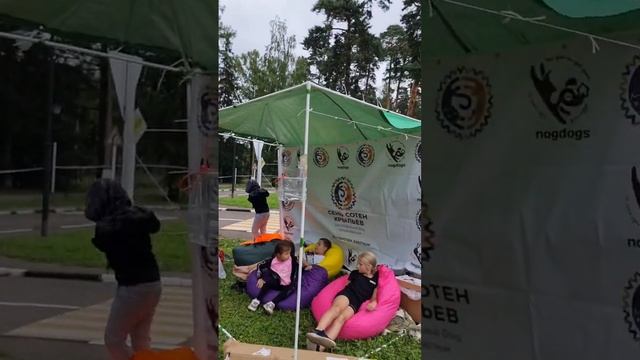 с любимыми собачками ? смотреть онлайн