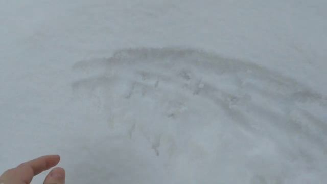 причуды природы / выпал бежевый снег,- первый раз в жизни вижу такое!!!