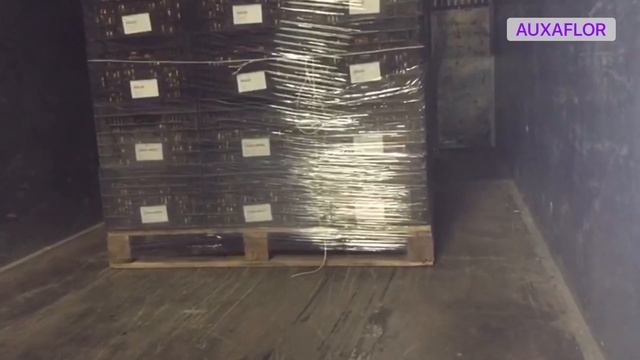 Выращивание тюльпанов. Поставка луковиц тюльпанов, сервис, гарантия. Новогодняя отгрузка! смотреть онлайн