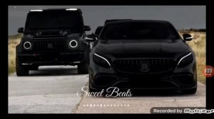 песня фонтанчик с чёрным дельфином