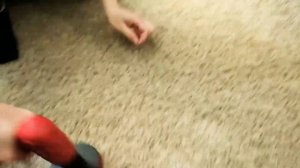 Как легко собрать шерсть и волос с ковра