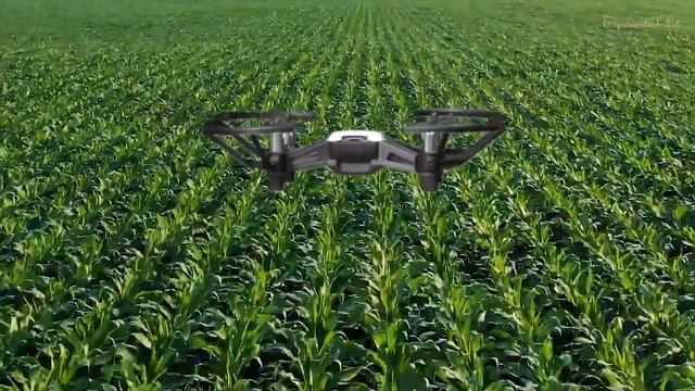 Modern Farms With Technology смотреть онлайн