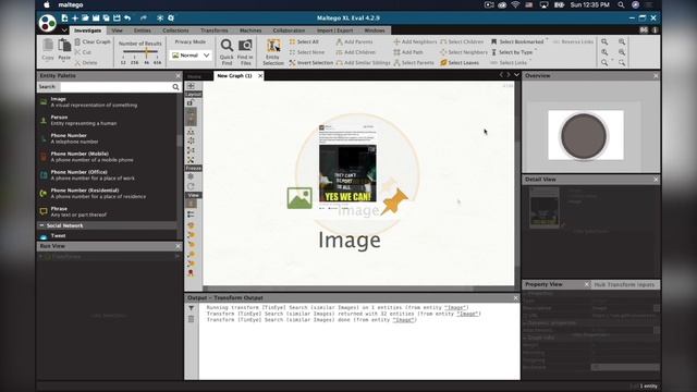 How to: Single Image Analysis Using Reverse Image Search with TinEye in Maltego - Official Tutorial смотреть онлайн