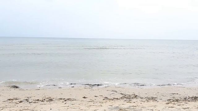 Как я занималась доменами и потеряла деньги. История финансового провала. Обзор Poly смотреть онлайн