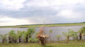 Природа (с. Усть-Тарка. Новосибирская область)